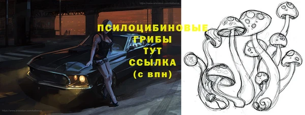 гидропоника Богородицк