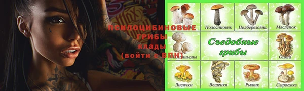 молекула духа Богородск