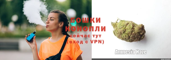 молекула духа Богородск