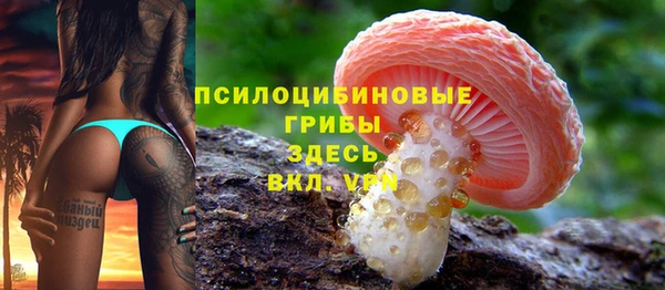 молекула духа Богородск