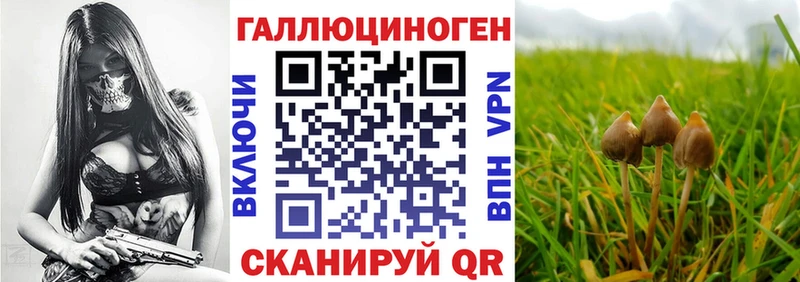Псилоцибиновые грибы прущие грибы  наркотики  Юрга 